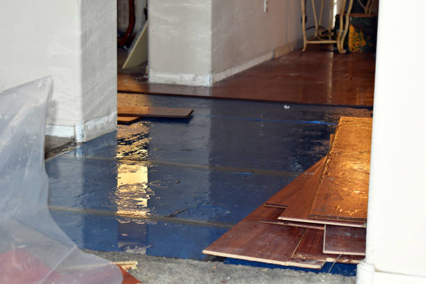 Professional Water Damage Restoration technician working in Port Austin, MI